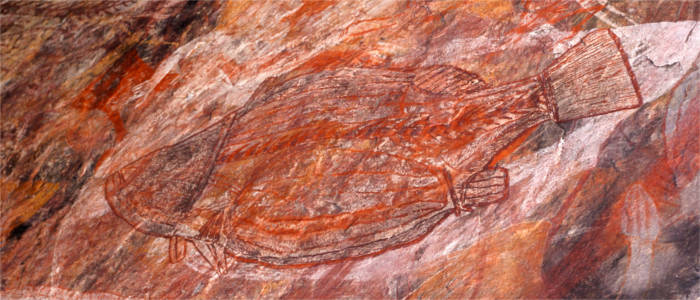 Paintings by the aborigines - Northern Territory