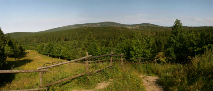 Nature in the Harz