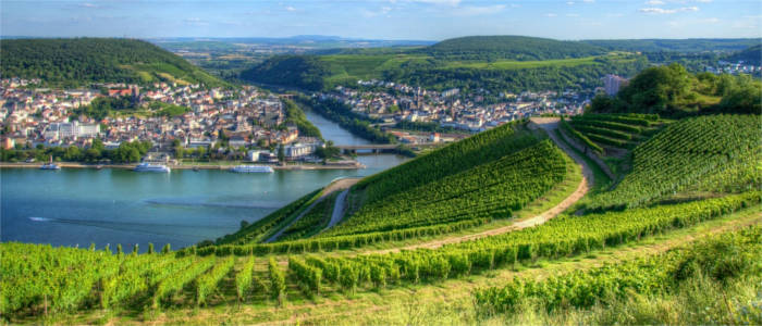 Wine-growing region in Hesse