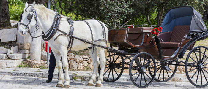 Horse-drawn carriages take tourists from place to place