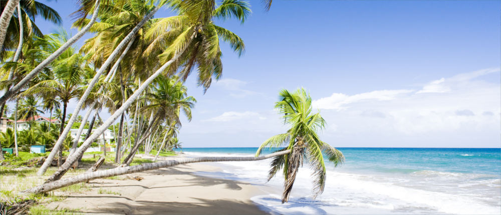 Grenada's Caribbean dream beaches