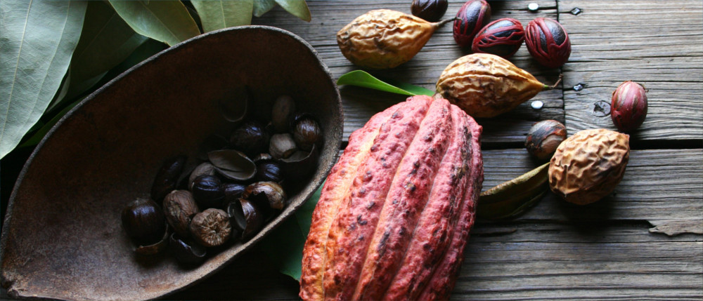 Nutmeg and cocoa from Grenada