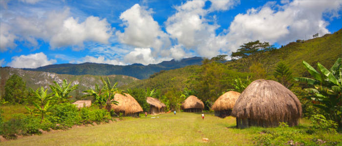 Traditional huts in Papua New Guinea