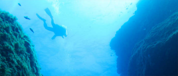 Diving in front of the Azores