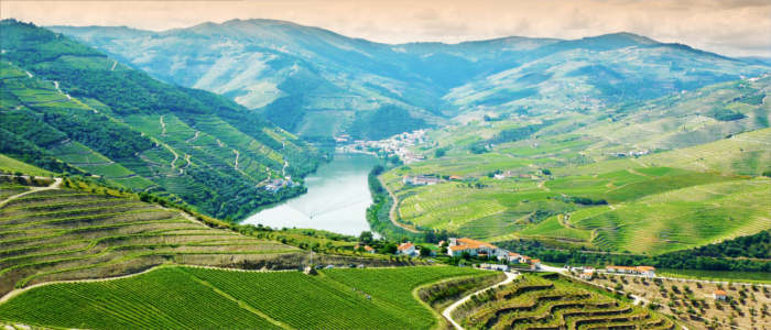 Wine-growing region in Douro in Portugal