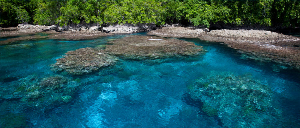 The coral reefs of the Solomon Islands