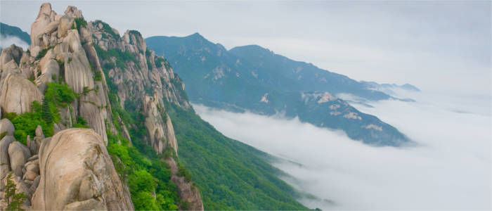 The national parks in South Korea