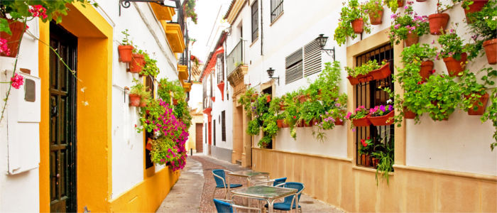 Alley and houses in Córdoba - Andalusia