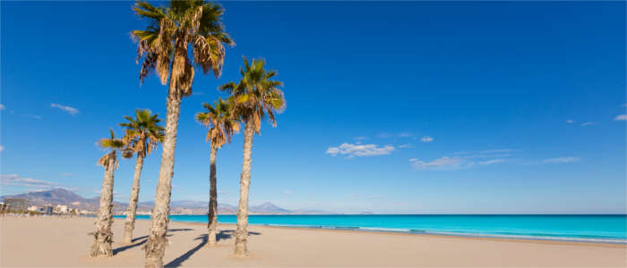 Beach at the Costa Blanca