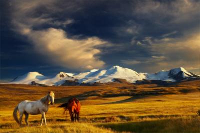 Country Mongolia